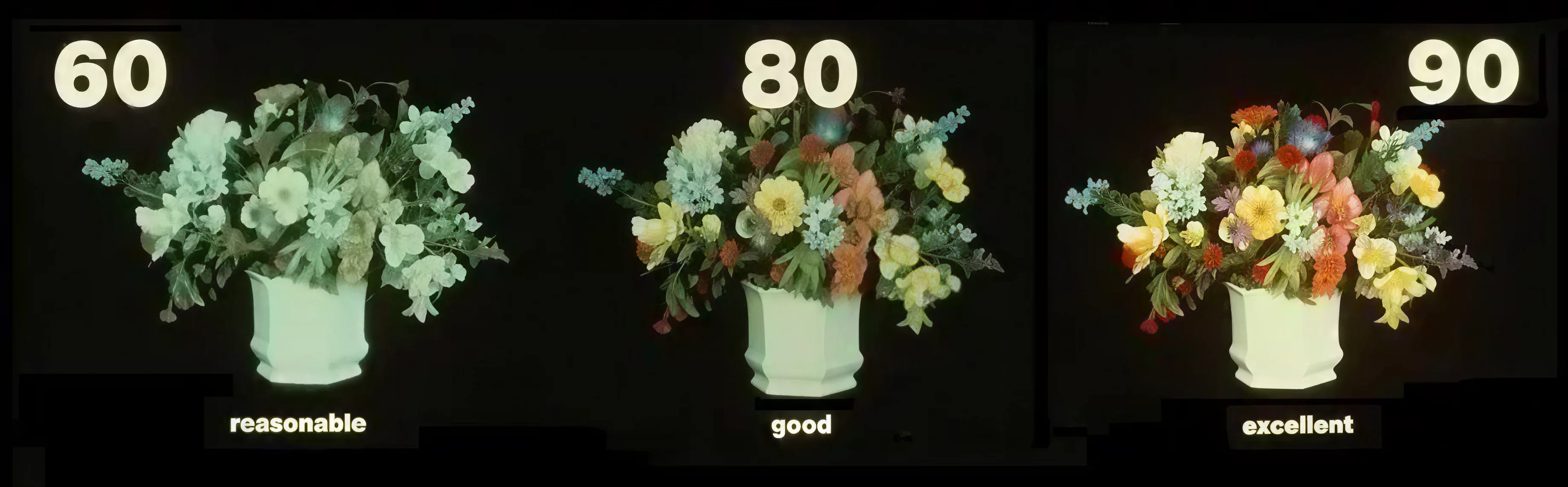 不同显色指数照明下花卉颜色对比