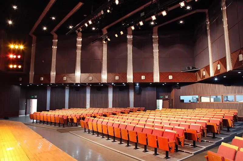大学多功能厅改造前的另一侧视角,展示原始空间几何与座席关系